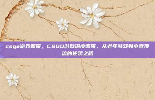 csgo游戏调研，CSGO游戏深度调研，从老年游戏到电竞顶流的逆袭之路
