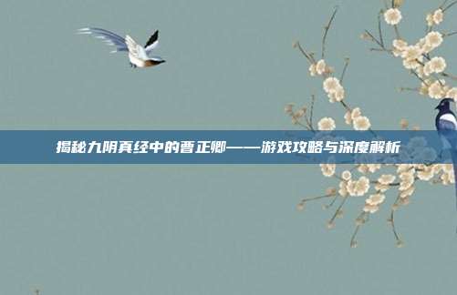 揭秘九阴真经中的曹正卿——游戏攻略与深度解析