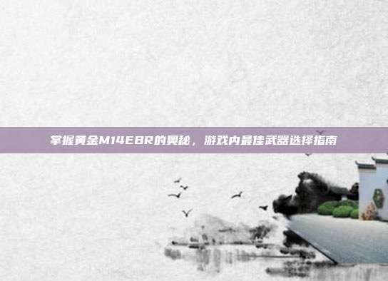 掌握黄金M14EBR的奥秘，游戏内最佳武器选择指南