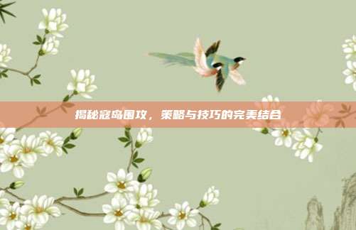 揭秘寇岛围攻，策略与技巧的完美结合