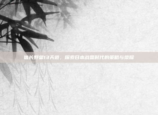 信长野望13天道,探索日本战国时代的策略与荣耀
