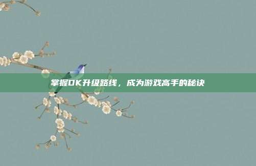 掌握DK升级路线,成为游戏高手的秘诀