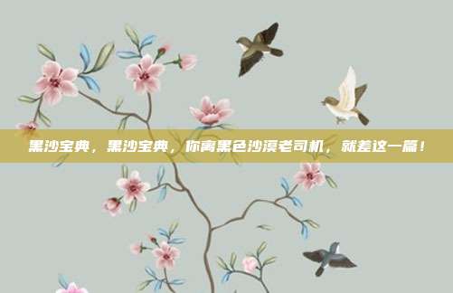 黑沙宝典，黑沙宝典，你离黑色沙漠老司机，就差这一篇！
