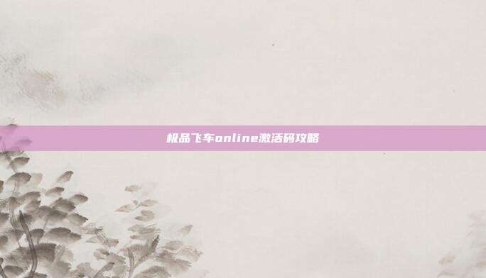 极品飞车online激活码攻略