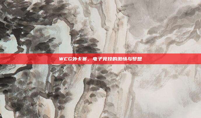 WCG外卡赛,电子竞技的激情与梦想