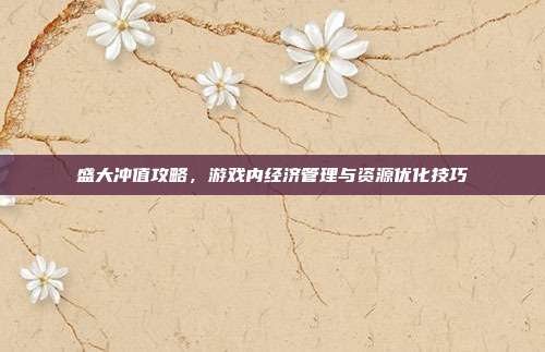 盛大冲值攻略,游戏内经济管理与资源优化技巧
