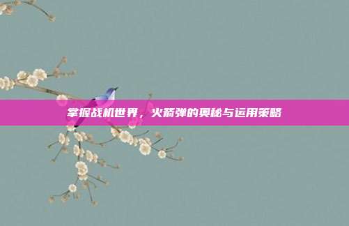 掌握战机世界,火箭弹的奥秘与运用策略