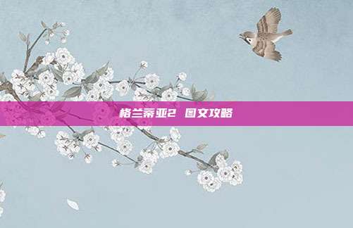 格兰蒂亚2 图文攻略