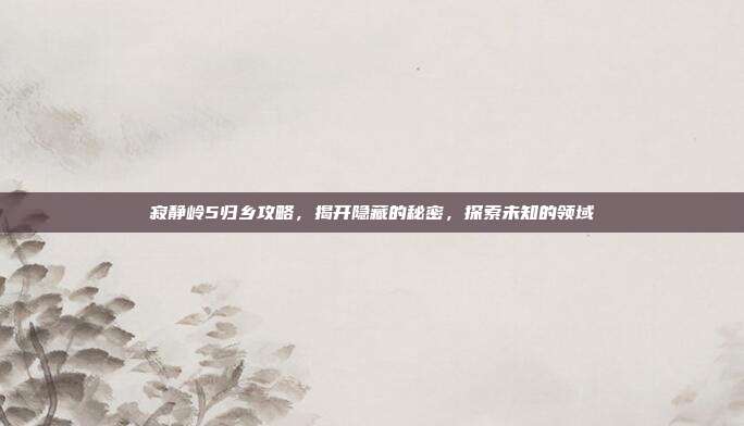 寂静岭5归乡攻略,揭开隐藏的秘密,探索未知的领域