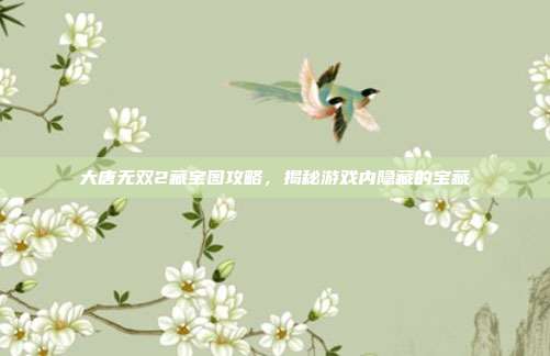 大唐无双2藏宝图攻略,揭秘游戏内隐藏的宝藏