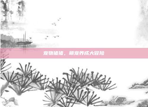 宠物猪猪,萌宠养成大冒险