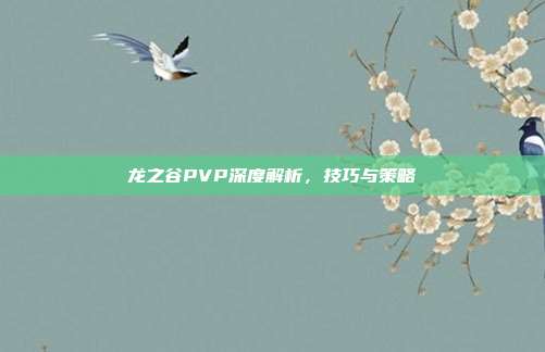 龙之谷PVP深度解析,技巧与策略