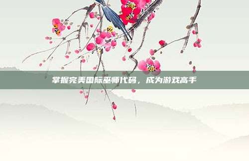 掌握完美国际巫师代码,成为游戏高手