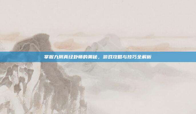 掌握九阴真经卦师的奥秘,游戏攻略与技巧全解析