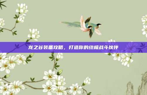 龙之谷装备攻略,打造你的终极战斗伙伴