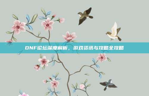 DNF论坛深度解析,游戏资讯与攻略全攻略