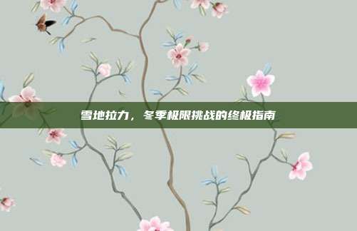 雪地拉力,冬季极限挑战的终极指南