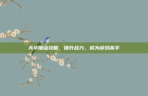 天华加点攻略，提升战力，成为游戏高手