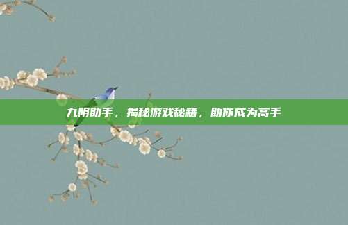 九阴助手,揭秘游戏秘籍,助你成为高手