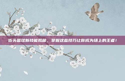 街头篮球新技能揭秘，掌握这些技巧让你成为场上的王者！