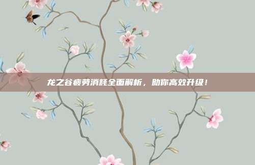 龙之谷疲劳消耗全面解析，助你高效升级！