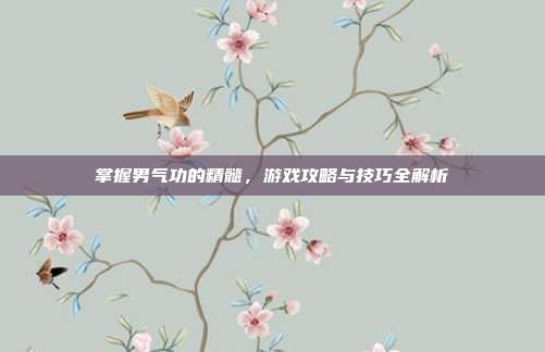 掌握男气功的精髓，游戏攻略与技巧全解析