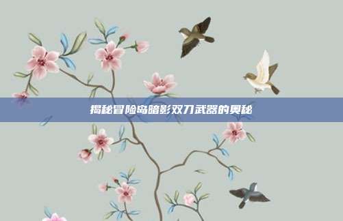 揭秘冒险岛暗影双刀武器的奥秘
