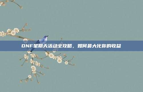 DNF星期天活动全攻略,如何最大化你的收益