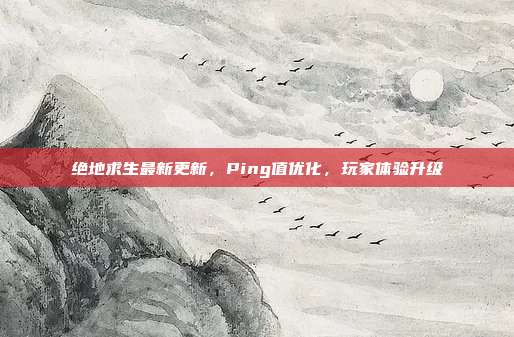 绝地求生最新更新,Ping值优化,玩家体验升级