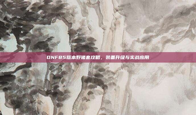 DNF85版本野猪套攻略,装备升级与实战应用