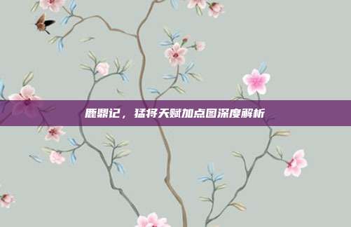鹿鼎记，猛将天赋加点图深度解析