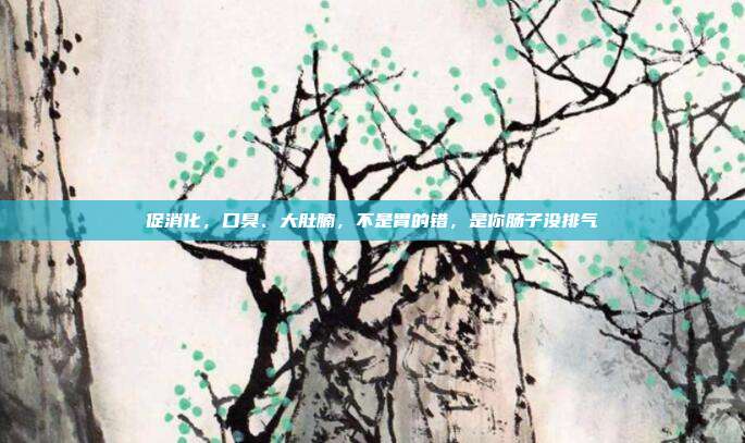 促消化，口臭、大肚腩，不是胃的错，是你肠子没排气