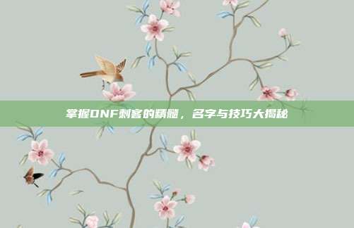 掌握DNF刺客的精髓,名字与技巧大揭秘