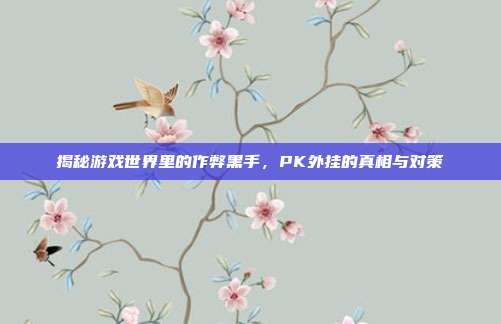 揭秘游戏世界里的作弊黑手,PK外挂的真相与对策