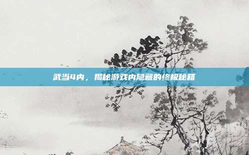 武当4内,揭秘游戏内隐藏的终极秘籍
