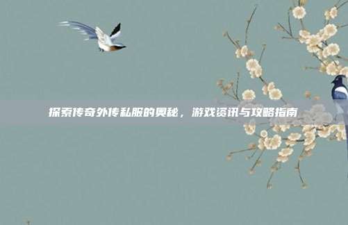 探索传奇外传私服的奥秘,游戏资讯与攻略指南