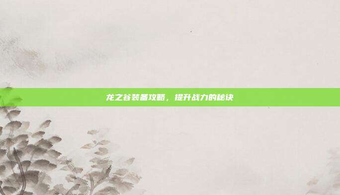 龙之谷装备攻略,提升战力的秘诀