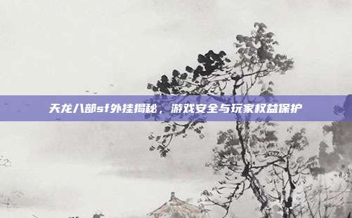 天龙八部sf外挂揭秘,游戏安全与玩家权益保护