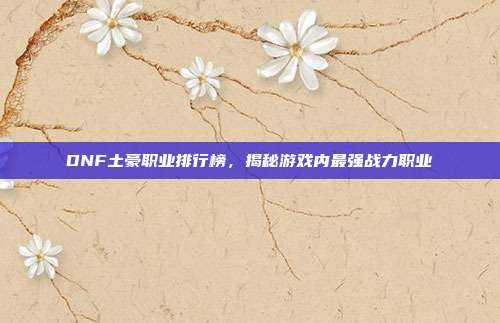 DNF土豪职业排行榜,揭秘游戏内最强战力职业