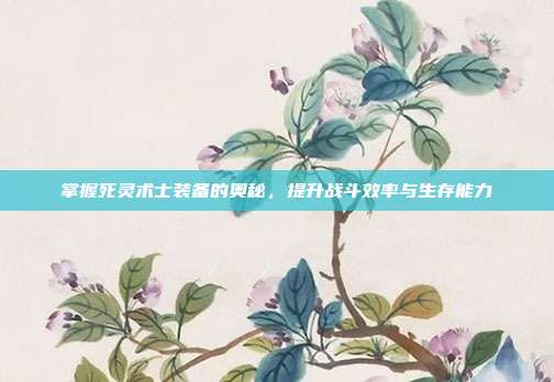 掌握死灵术士装备的奥秘,提升战斗效率与生存能力