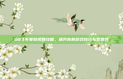 QQ飞车爱拍视频攻略,提升你的游戏技巧与观赏性