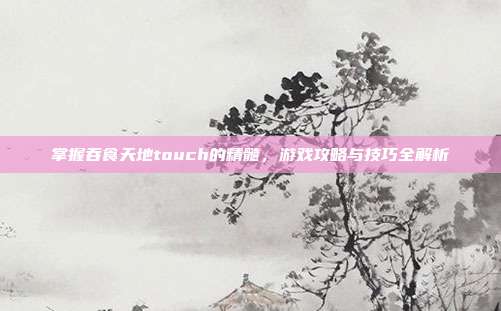 掌握吞食天地touch的精髓,游戏攻略与技巧全解析