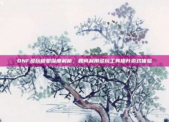 DNF多玩模型深度解析，如何利用多玩工具提升游戏体验
