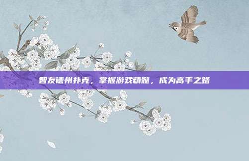 智友德州扑克，掌握游戏精髓，成为高手之路