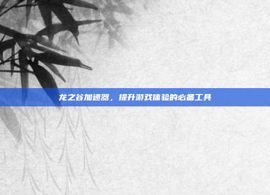 龙之谷加速器，提升游戏体验的必备工具