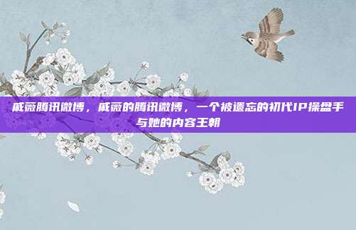 戚薇腾讯微博，戚薇的腾讯微博，一个被遗忘的初代IP操盘手与她的内容王朝