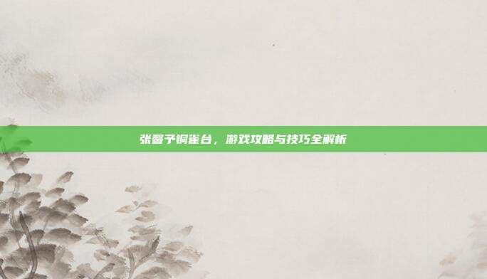 张馨予铜雀台,游戏攻略与技巧全解析
