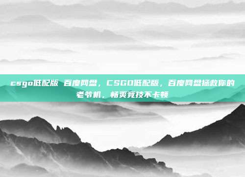 csgo低配版 百度网盘，CSGO低配版，百度网盘拯救你的老爷机，畅爽竞技不卡顿