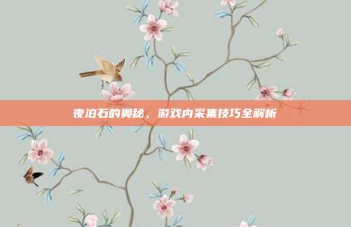 夜泊石的奥秘，游戏内采集技巧全解析