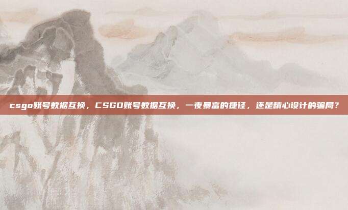 csgo账号数据互换，CSGO账号数据互换，一夜暴富的捷径，还是精心设计的骗局？